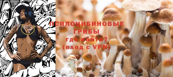 стафф Балабаново