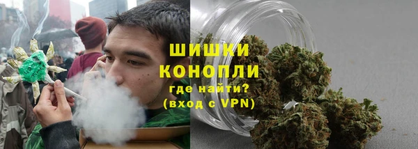 ГАЛЛЮЦИНОГЕННЫЕ ГРИБЫ Арсеньев