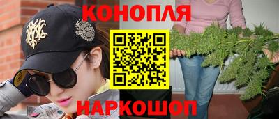 СК Пугачёв