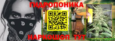 СК Пугачёв