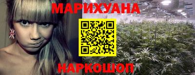 крисы Пушкино
