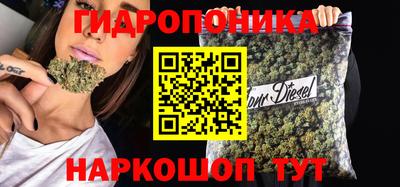 СК Пугачёв