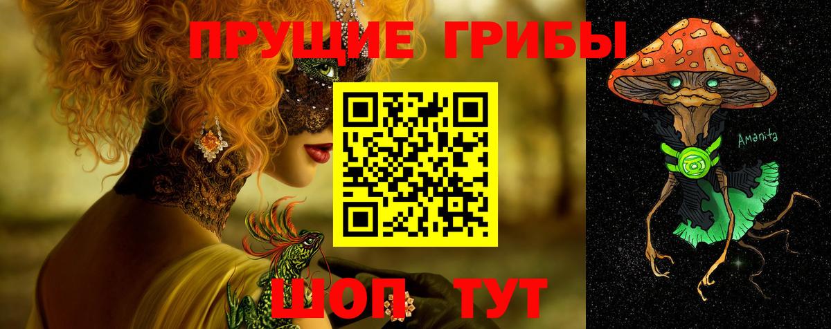 Соль-Илецк  Псилоцибиновые грибы Psilocybine cubensis  купить наркоту  Галлюциногенные грибы Cubensis  Вход с VPN 